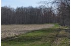 Property photo 134 - REAL ESTATE & PERSONAL PROPERTY AUCTION, 140 Acres offered in 8 Tracts or Combinations in Steuben County